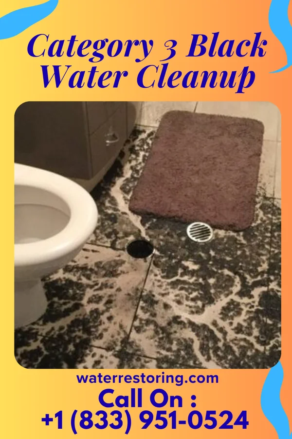 Category 3 Black Water Cleanup in Callender, IA